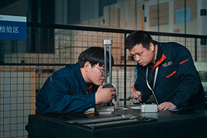 Standardized quality inspection workflow